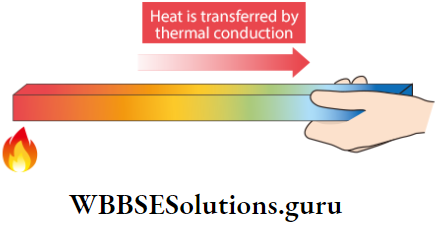 WBBSE Solutions For Class 10 Physical Science And Environment Chapter 4 Thermal Phenomena thermal conductivity