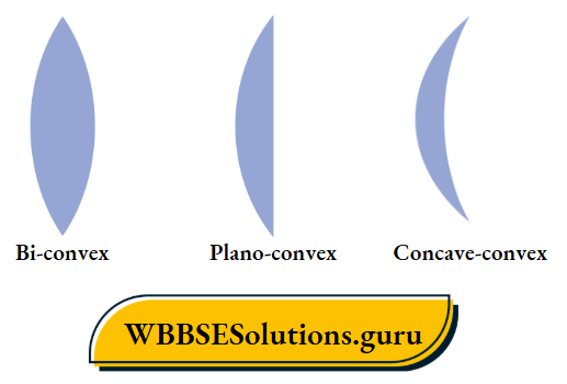 WBBSE Solutions For Class 10 Physical Science And Environment Chapter 5 Light Convex Lenses