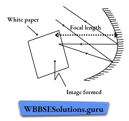 WBBSE Solutions For Class 10 Physical Science And Environment Chapter 5 Light Image Formed Focal Length Of The Mirror