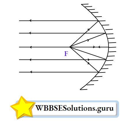 WBBSE Solutions For Class 10 Physical Science And Environment Chapter 5 Light Shaving Mirror