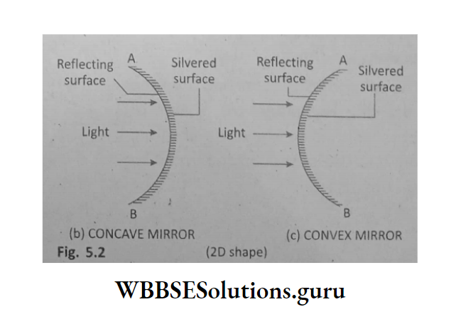 WBBSE Solutions For Class 10 Physical Science And Environment Chapter 5 Light convex mirror