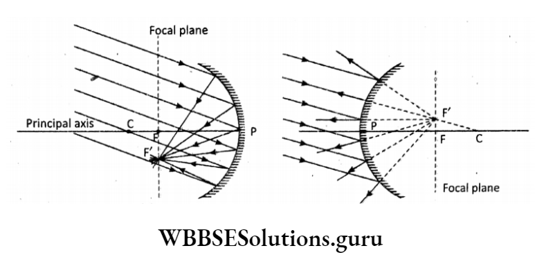 WBBSE Solutions For Class 10 Physical Science And Environment Chapter 5 Light focal plane of concave and convex mirror