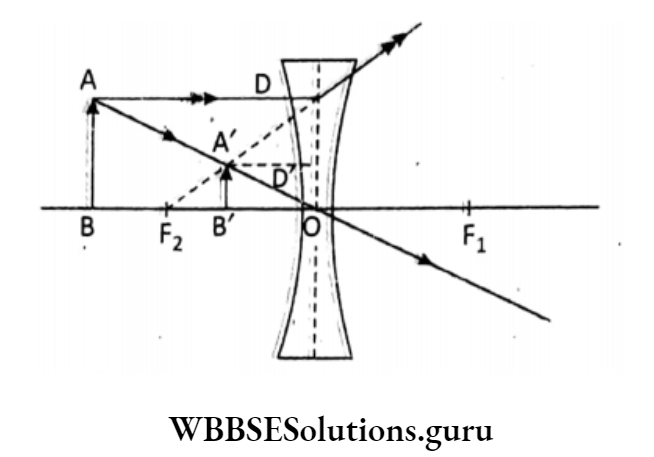 WBBSE Solutions For Class 10 Physical Science And Environment Chapter 5 Light image formation by a concave lens