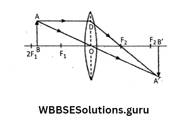 WBBSE Solutions For Class 10 Physical Science And Environment Chapter 5 Light image formation by a convex lens for the object between F1 And 2F1