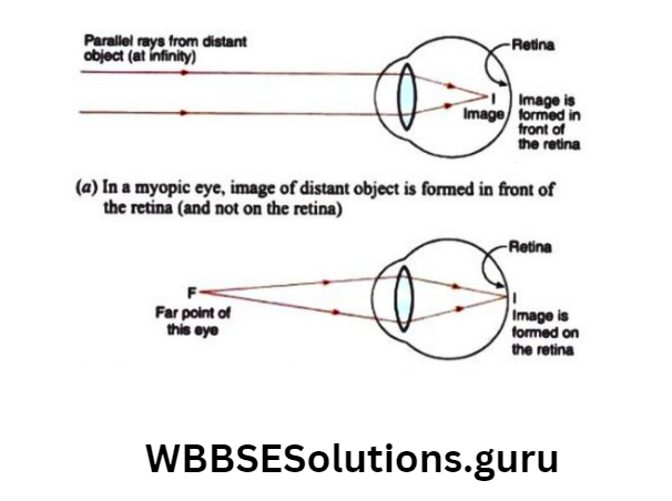 WBBSE Solutions For Class 10 Physical Science And Environment Chapter 5 Light normal eye and distant ojects appear clear