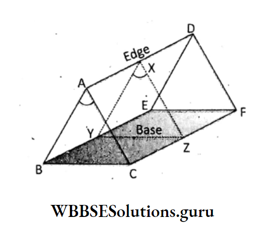 WBBSE Solutions For Class 10 Physical Science And Environment Chapter 5 Light prism