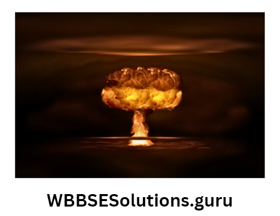WBBSE Solutions For Class 10 Physical Science And Environment Chapter 7 atomic nucleus atom bomb explosion and its after effects