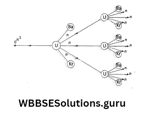 WBBSE Solutions For Class 10 Physical Science And Environment Chapter 7 atomic nucleus chain reaction