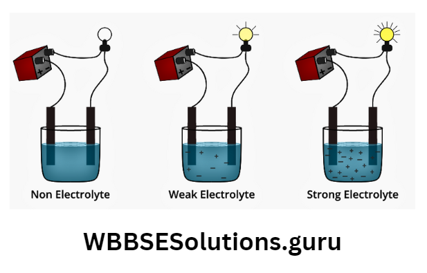 WBBSE Solutions For Class 10 Physical Science And Environment Chapter 8 Electricity And Chemical Reactions Strong And weak electrolytes