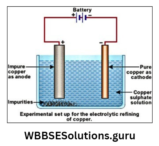 WBBSE Solutions For Class 10 Physical Science And Environment Chapter 8 Electricity And Chemical Reactions electrorefining of copper