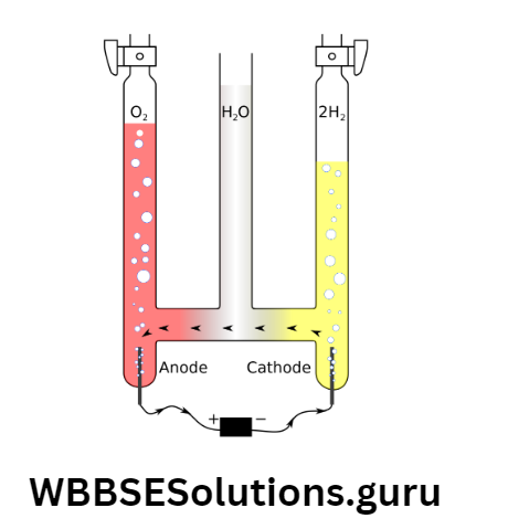 WBBSE Solutions For Class 10 Physical Science And Environment Chapter 8 Electricity And Chemical Reactions hoffman voltameter