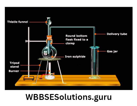 WBBSE Solutions For Class 10 Physical Science And Environment Chapter 8 Inorganic chemistry In The Laboratory And In Industry laboratory preparation of hydrogen sulphide gas.jpg