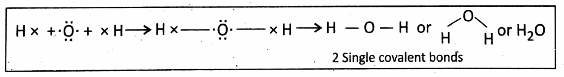 WBBSE Solutions For Class 10 Physical Science And Environment Chapter 8 Ionic And Covalent Bonding 2 single covalent bond
