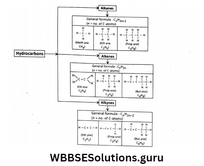 WBBSE Solutions For Class 10 Physical Science And Environment Chapter 8 Organic Chemistry Structural and molecular Formula
