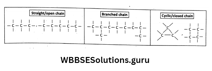 WBBSE Solutions For Class 10 Physical Science And Environment Chapter 8 Organic Chemistry catenation property of carbon