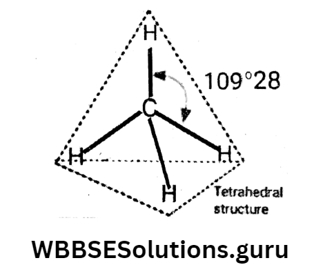 WBBSE Solutions For Class 10 Physical Science And Environment Chapter 8 Organic Chemistry tetrahedral model