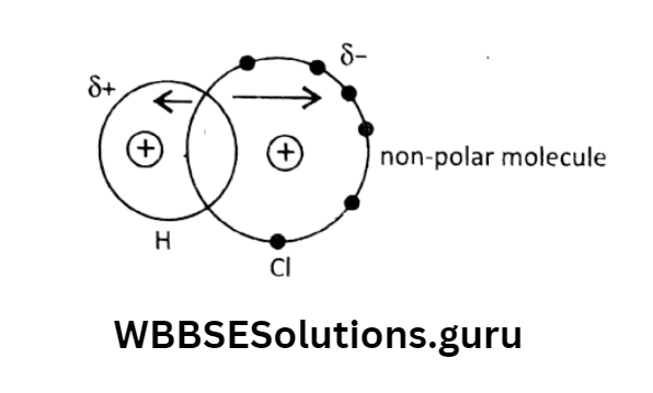 WBBSE Solutions For Class 10 Physical Science And Environment Chapter 8 Physical And Chemical Properties Of Matter hcl