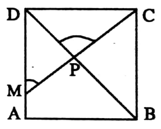 WBBSE Solutions For Class 9 Maths Geometry Chapter 1 Properties Of Parallelogram In The Square ABCD M Is A Point On AD