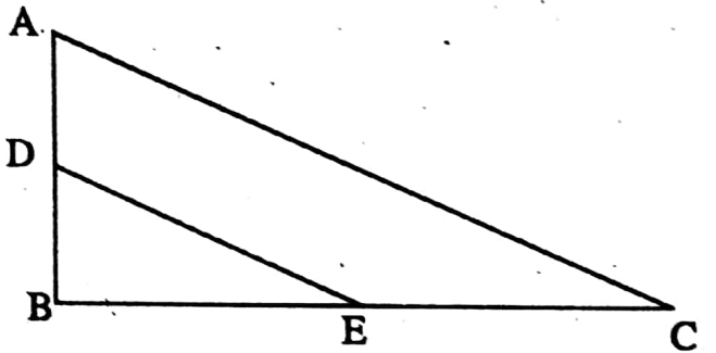 WBBSE Solutions For Class 9 Maths Geometry Chapter 2 Transversal And Mid Point Theorem Example 10