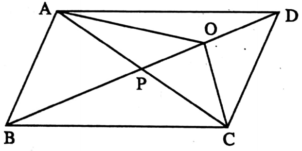 WBBSE Solutions For Class 9 Maths Geometry Chapter 3 Theorems On Area Area Of Parallelogram ABCD