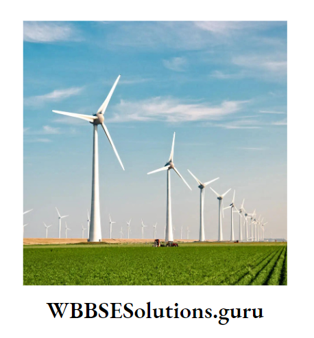 WBBSESolutions For Class 10 Chapter 1 Concerns About Our Environment Calorific value of fuels wind mill