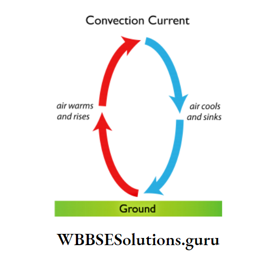 WBBSESolutions For Class 10 Chapter 1 Concerns About Our Environment Physical Science And environment Convention current.