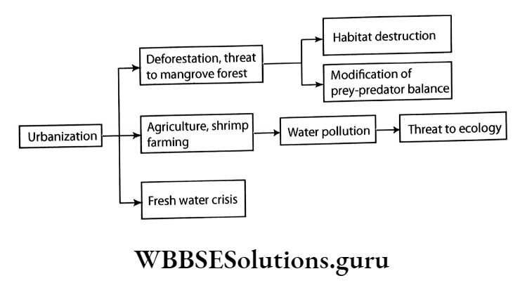 WBBSE Class 10 Life Science Model Question Paper 2023 Set 1