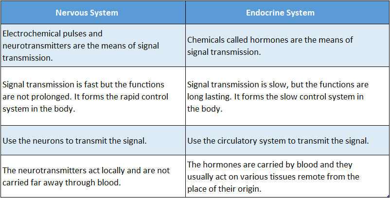 WBBSE Solutions Chapter 1 Control And Coordination In Living Organisms Topic D Response And Physical Coordination In Animals Nervous System nervous
