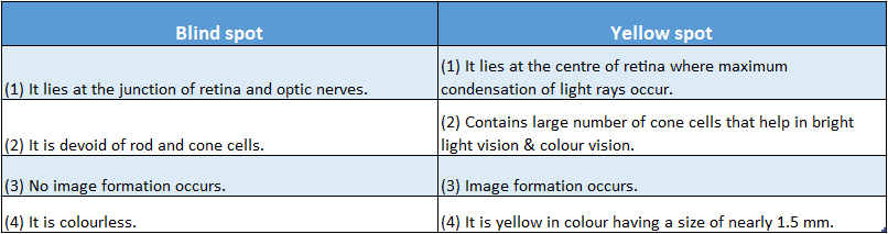 WBBSE Solutions Chapter 1 Control And Coordination In Living Organisms Topic D Response And Physical Coordination In Animals Nervous blind and yellow spot
