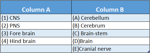 WBBSE Solutions Chapter 1 Control And Coordination In Living Organisms Topic D Response And Physical Coordination In Animals Nervous match the column 2