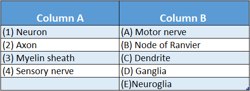 WBBSE Solutions Chapter 1 Control And Coordination In Living Organisms Topic D Response And Physical Coordination In Animals Nervous match the column