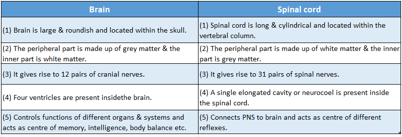 WBBSE Solutions Chapter 1 Control And Coordination In Living Organisms Topic D Response And Physical Coordination In Animals Spinal Cord