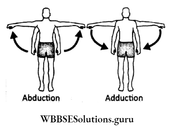 WBBSE Solutions For Class 10 Life Science Chapter 1 Control And ...