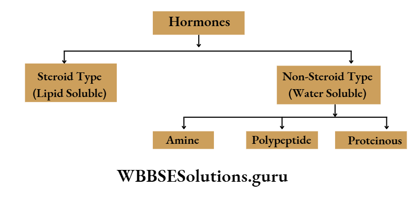 WBBSE Solutions For Class 10 Life Science Chapter 1 Hormones