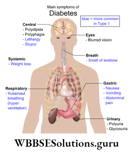 WBBSE Solutions For Class 10 Life Science Chapter 1 Main Symptoms Of Diabetes