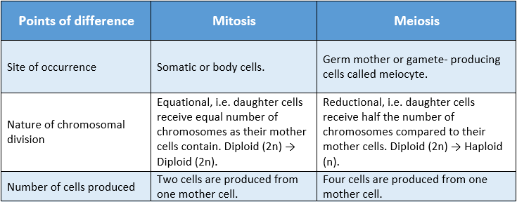 WBBSE Solutions For Class 10 Life Science Chapter 2 Continuity Of Life Topic A Cell Division And Cell Cycle Mitosis and meiosis