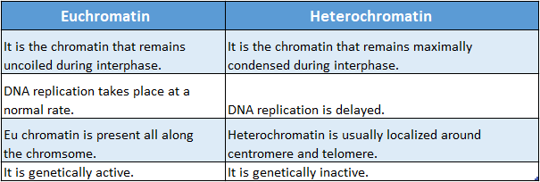 WBBSE Solutions For Class 10 Life Science Chapter 2 Continuity Of Life Topic A Cell Division And Cell Cycle euchromatin And Hetrochromatin