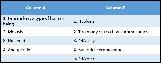 WBBSE Solutions For Class 10 Life Science Chapter 2 Continuity Of Life Topic A Cell Division And Cell Cycle match the column 3
