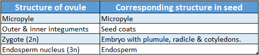 WBBSE Solutions For Class 10 Life Science Chapter 2 Continuity Of Life Topic C Sexual Reproduction in Flowering Plants structure of ovule