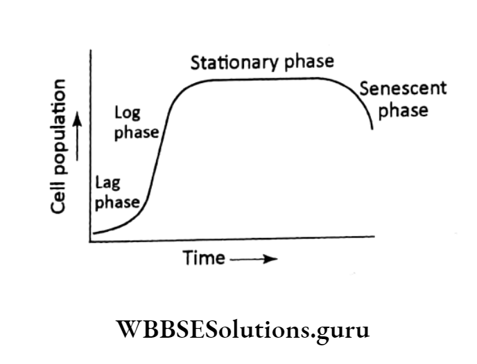 WBBSE Solutions For Class 10 Life Science Chapter 2 Continuity Of Life Topic D Growth And Development stationary phase