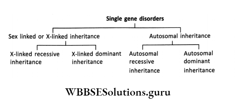 WBBSE Solutions For Class 10 Life Science Chapter 3 Heredity And Common Genetic Diseases Topic B Some Common Genetic Diseases Single gene disorders