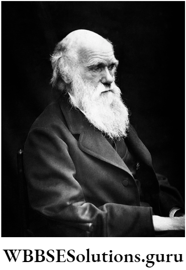 WBBSE Solutions For Class 10 Life Science Chapter 4 Evolution And Adaptation Topic A Evolution Charles Darwin.jpg