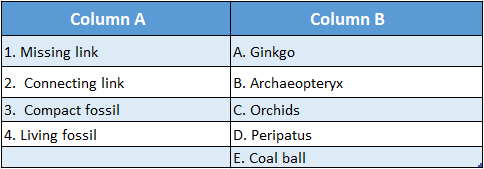 WBBSE Solutions For Class 10 Life Science Chapter 4 Evolution And Adaptation Topic A Evolution match the column 3