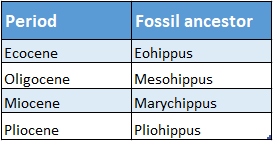 WBBSE Solutions For Class 10 Life Science Chapter 4 Evolution And Adaptation Topic A Evolution period