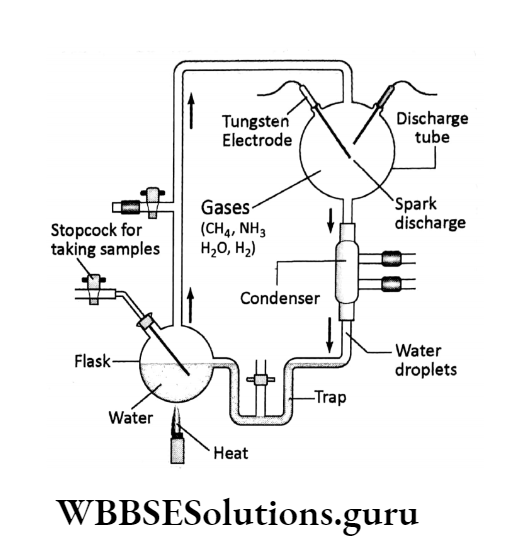 WBBSE Solutions For Class 10 Life Science Chapter 4 Evolution And Adaptation Topic A Evolution urey and millers experiment