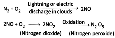 WBBSE Solutions For Class 10 Life Science Chapter 5 Environment Its Resources And Their Conservation Topic A Nitrogen
