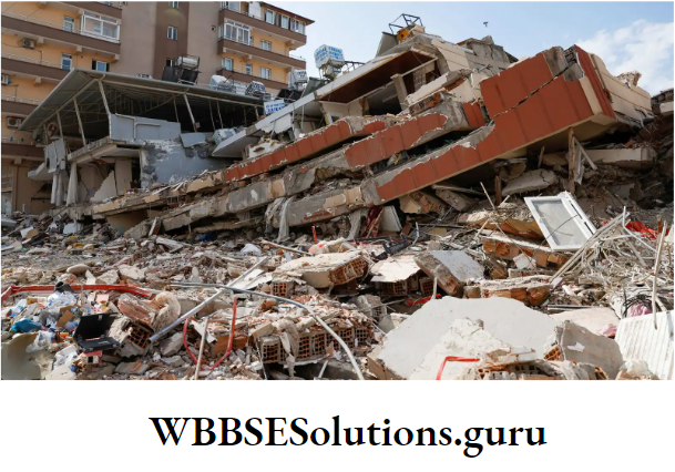WBBSE Solutions For Class 10 Life Science Chapter 5 Environment Its Resources And Their Conservation Topic D Biodiversity And Conservation earth quake