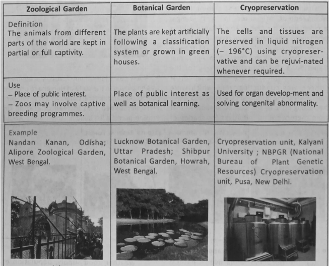 WBBSE Solutions For Class 10 Life Science Chapter 5 Environment Its Resources And Their Conservation Topic D Biodiversity And Conservation ex situ conservation methods