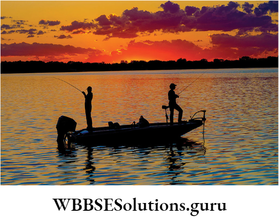 WBBSE Solutions For Class 10 Life Science Chapter 5 Environment Its Resources And Their Conservation Topic D Biodiversity And Conservation fishing in the lake
