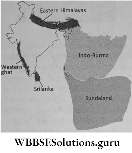 WBBSE Solutions For Class 10 Life Science Chapter 5 Environment Its Resources And Their Conservation Topic D Biodiversity And Conservation indo burma